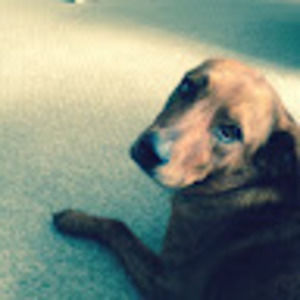 Meet your Posher, Annika